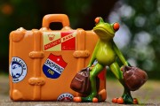 免費(fèi)游戲禮包，開啟你的冒險(xiǎn)之旅