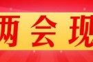 政協(xié)委員熱議 推進(jìn)統(tǒng)一大市場建設(shè)  要建立公平統(tǒng)一的市場監(jiān)管體系