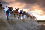 種地免費(fèi)游戲，開(kāi)啟你的農(nóng)業(yè)夢(mèng)想之旅，種地大富翁，啟動(dòng)你的農(nóng)田冒險(xiǎn)之旅，免費(fèi)享受農(nóng)業(yè)的樂(lè)趣