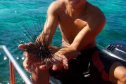 夢到捉魚的奇幻之旅，夢中的捉魚奇幻之旅