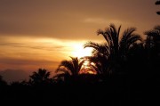 夢(mèng)到喜事，一場(chǎng)美好的心靈之旅，夢(mèng)境中的喜事，心靈之旅的美麗邂逅