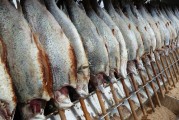 已婚女人夢(mèng)到好多魚(yú)的寓意與解讀，已婚女性夢(mèng)到好多魚(yú)的寓意與解讀