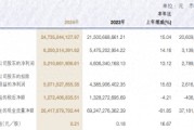申萬(wàn)宏源去年?duì)I收增長(zhǎng)超15%，投行業(yè)務(wù)收入降逾27%