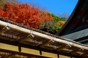 夢(mèng)中的探索之旅——挖掘水源的啟示