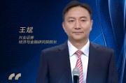興業(yè)證券王斌：爭做“活躍資本市場、提振投資者信心”的排頭兵