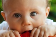 免費(fèi)三歲幼兒游戲，讓快樂成長(zhǎng)成為可能的途徑，幼兒游戲，打造孩子的幸福童年，從親子游戲開始