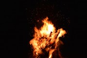 夢(mèng)中的虎影，一次與猛虎的較量，夢(mèng)中的虎影，一次與猛虎的較量