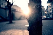 夢中的破碎之光——燈泡碎了的寓意與解讀，夢中的破碎之光，燈泡碎了的深層寓意與解讀