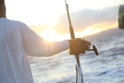 夢游深海，與巨魚共舞，夢游深海，共舞巨魚之旅