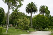 官方網(wǎng)站花架搭建指南，打造視覺盛宴的綠色空間，打造綠色視覺盛宴，官方網(wǎng)站花架搭建全攻略，官方網(wǎng)站綠色花架搭建全攻略，打造視覺盛宴的綠意空間
