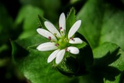 夢(mèng)到親人離世，心靈的觸動(dòng)與解讀，夢(mèng)到親人離世，心靈的觸動(dòng)與解讀