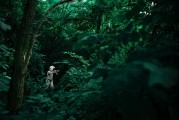 夢境中的動(dòng)物世界，一場奇幻的夢境之旅