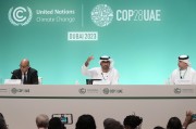 COP29氣候大會臨近，歐美金融高管參會熱情降溫
