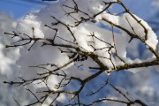 夢(mèng)中大雪紛飛，厚雪之下的世界，夢(mèng)中大雪紛飛，厚雪之下的世界探索