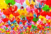 夢境中的老鼠狂歡，夢境中的老鼠狂歡之旅