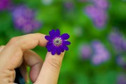 芭比打扮游戲免費(fèi)下載，讓小女孩過(guò)上精致的生活，芭比打扮游戲