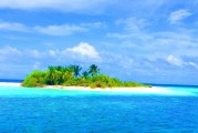 海魚之夢，探索夢境深處的海洋奧秘，海魚之夢，探索夢境深處的海洋奧秘