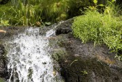 流量與網(wǎng)站訪(fǎng)問(wèn)，一個(gè)動(dòng)態(tài)平衡的藝術(shù)，數(shù)字營(yíng)銷(xiāo)中的動(dòng)態(tài)平衡藝術(shù)，如何實(shí)現(xiàn)流量和訪(fǎng)問(wèn)的動(dòng)態(tài)調(diào)整
