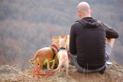 孕婦夢到野雞，是否為胎夢的探索之旅，孕婦夢到野雞，胎夢的探索之旅