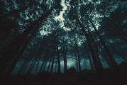 夢(mèng)與眼眸的神秘交織，夢(mèng)與眼眸的神秘交織