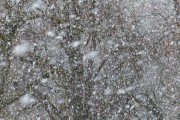 雪舞夢(mèng)境——我的夢(mèng)中雪景，雪舞夢(mèng)境，我的夢(mèng)中雪景的詩(shī)意之旅