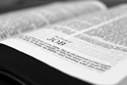 如何查看淘寶注冊日期？，如何查詢淘寶賬號的注冊日期？
