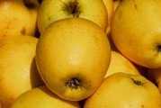 日本Rapidus公司正與蘋果、谷歌洽談芯片大規(guī)模生產(chǎn)事宜
