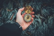 夢中的白發(fā)生長，一次關(guān)于時(shí)間、衰老與自我認(rèn)知的探索，夢中的白發(fā)生長，時(shí)間、衰老與自我認(rèn)知的探索