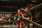 格斗游戲的狂熱與挑戰(zhàn)——探尋免費(fèi)版的力量，探索付費(fèi)格斗游戲，免費(fèi)版本的力量
