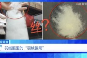 “羽絨騙局”曝光：兒童羽絨服也造假，檢測報告成本一兩元錢