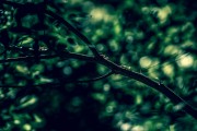 夢(mèng)到洗臉，解讀夢(mèng)境的深層含義，夢(mèng)境解讀，洗臉的深層含義