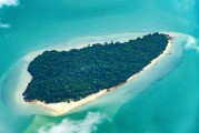 夢(mèng)到抓魚(yú)的奇幻之旅，夢(mèng)中之魚(yú)，奇幻的抓魚(yú)之旅