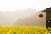 夢中的花?！业脑曰ㄖ茫瑝糁械幕ê?，我的栽花之旅