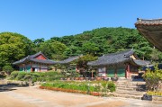 夢中的攀爬之旅，夢中的攀爬之旅之旅