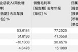 2024智駕年報透視：輔助駕駛扭虧為盈，自動駕駛?cè)詿X