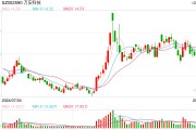 萬安科技擬1.33億元溢價(jià)收購(gòu)關(guān)聯(lián)企業(yè) 標(biāo)的公司年內(nèi)虧損約2676萬元