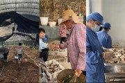 奇富科技百萬(wàn)幫扶云南中屏鎮(zhèn)：菌菇田里的振興密碼與“村BA”的雙向奔赴