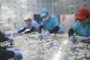查封！關(guān)停！各地多部門連夜查處3·15曝光問題
