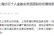 工商銀行上海分行個人金融業(yè)務部原副總經(jīng)理劉蕓接受紀律審查和監(jiān)察調查