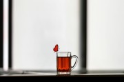 夢(mèng)中的禿頂之謎，探索內(nèi)心深處的自我啟示，夢(mèng)中的禿頂之謎，內(nèi)心深處的自我啟示探索