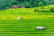 一款讓玩家深度體驗(yàn)農(nóng)業(yè)種植樂(lè)趣的免費(fèi)農(nóng)場(chǎng)種菜游戲，耕作樂(lè)土，輕松有趣的農(nóng)業(yè)種植游戲