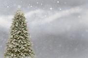 桌面圣誕樹插件網(wǎng)站，點亮冬日溫馨，增添節(jié)日氣氛