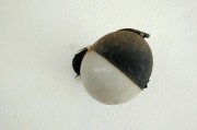 解讀夢(mèng)境中的鱉，象征意義與心理暗示