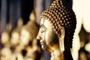 自由冷鋒游戲的神秘面紗——探秘其背后的游戲內(nèi)涵與魅力，自由冷鋒，揭示隱藏在游戲背后的深度內(nèi)涵與魅力