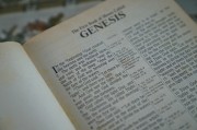 輕松入門，教你如何在論壇注冊賬號，論壇新手指南，輕松注冊賬號全攻略