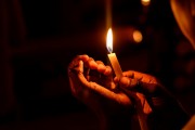 燃燒的生命——螢火蟲(chóng)（寓言故事），螢火蟲(chóng)的奧秘