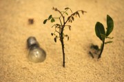 輕盈的夏日午后——輕松享受薄荷游戲免費，輕松享受，夏季薄荷游戲——只用一包薄荷