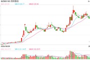 機(jī)器人概念連續(xù)反彈，科創(chuàng)50指數(shù)半日漲0.45%