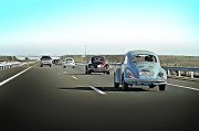賽車之夢，速度與激情的交織，賽車之夢，速度與激情的交織