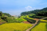 湘西網(wǎng)站流量，助力鄉(xiāng)村振興的數(shù)字引擎